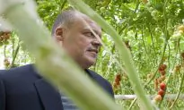 Air Search for Missing Quebec Businessman and Son Suspended by Provincial Police