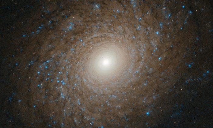 More than 70 million light years away from our solar system is a stunning spiral galaxy recently observed by the Hubble Space Telescope. (ESA/Hubble & NASA, L. Ho via CNN)