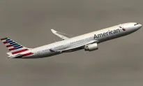 Flight Attendant Gets 5 Stitches After Emotional Support Animal Bites Him Mid-Flight