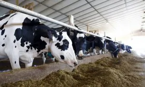 House Ways and Means Committee Holds Field Hearing on Agriculture, Critical Supply Chains