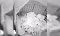 Dad Lets Scared Baby Sleep Next to 100lb Pit Bull, Nanny Cam Footage Goes Viral