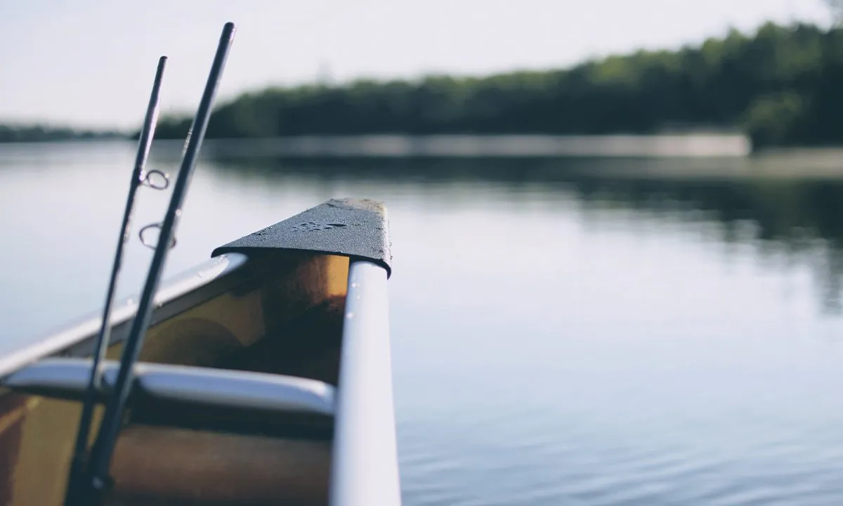 A stock fishing photo (John Sekutowski/Unsplash)