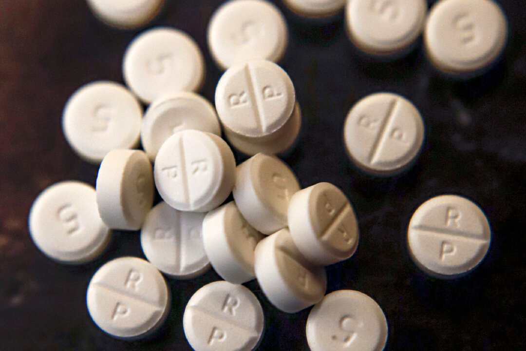 5-mg pills of Oxycodone. (Keith Srakocic/AP Photo/The Canadian Press)