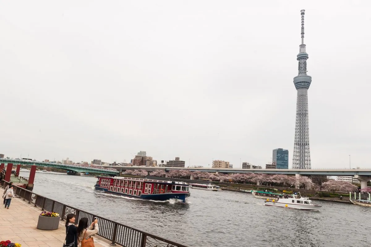 A cruise ship going to Tokyo Bay on Sumida River. The world's tallest tower, Tokyo Sky Tree, can be seen across the river. (By You Peiran/Epoch Times)