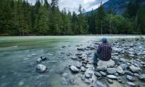 Meditations on the Wisdom of Inaction