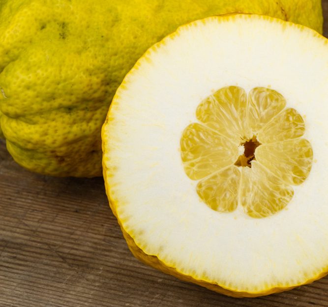 What Is a Citron? The Ancient Fruit You Should Be Eating Now