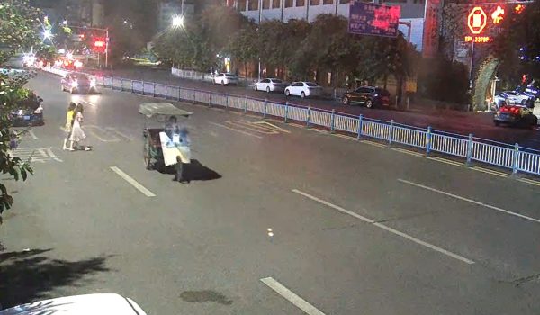 jaywalk car hit-and-run license