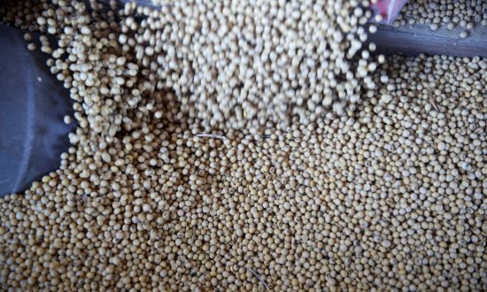 China Buys US Soybeans for First Time Since June