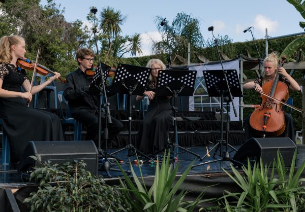 String musicians quartet