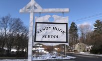 Firearms Maker Challenges Suit by Sandy Hook Victims