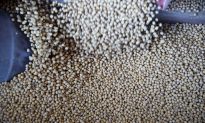China Buys US Soybeans After Declaring Ban on American Farm Goods