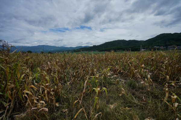 Epoch Times Photo