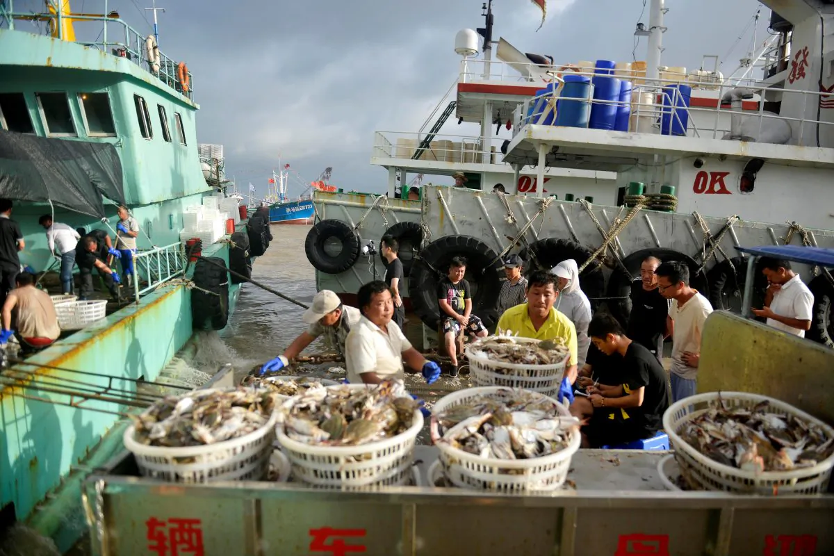Workers unload seafood from fishing boats before super typhoon Lekima makes landfall in Zhoushan, Zhejiang Province, China on Aug. 8, 2019. (Reuters)