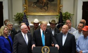 US Farmers Praise Trade Deals’ Commitment to Eliminate Non-Tariff Barriers