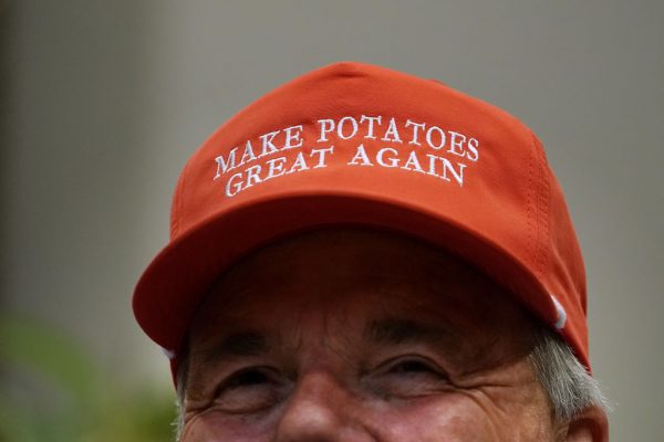 'Make Potatoes Great Again' hat