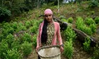 Colombia’s Warring Gangs Target Migrants at Venezuelan Border; Peace Process Stutters