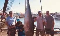 Fish Buyer in P.E.I. Opens Plant to Promote Canada’s Sustainable Tuna Fishery