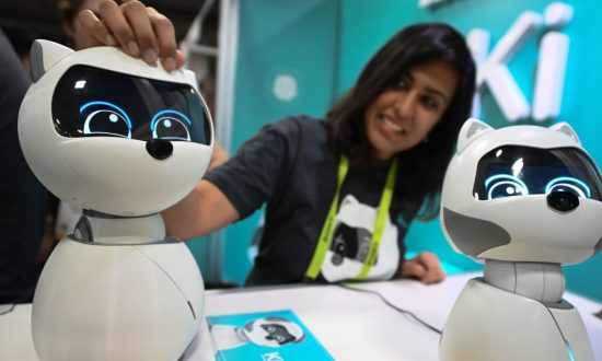 The Secret Lives of Robopets