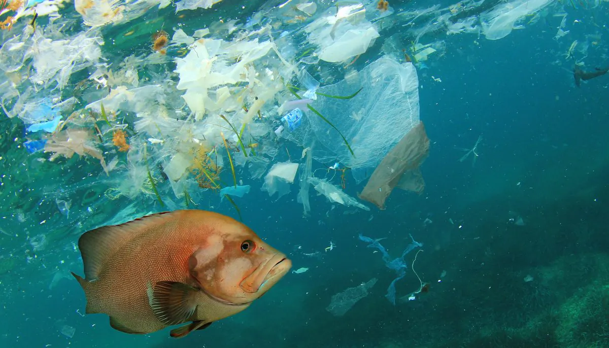 Plastics may soon be able to be recycled infinitely. (Illustration - Shutterstock)
