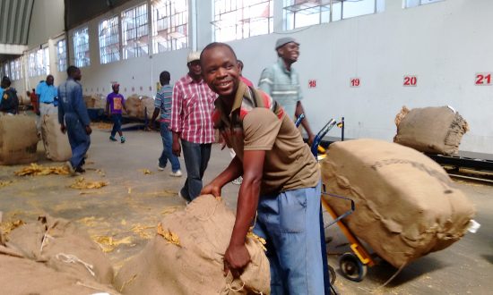 China Pours Millions of Dollars Into Zimbabwe’s Farming Industry as Experts Fret