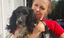 Woman Shocked to See Scared Dog Near River With 13lb Anchor Tied to His Neck