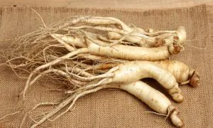 Health Benefits of Ginsenosides