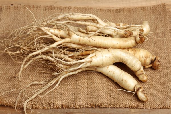 ginseng