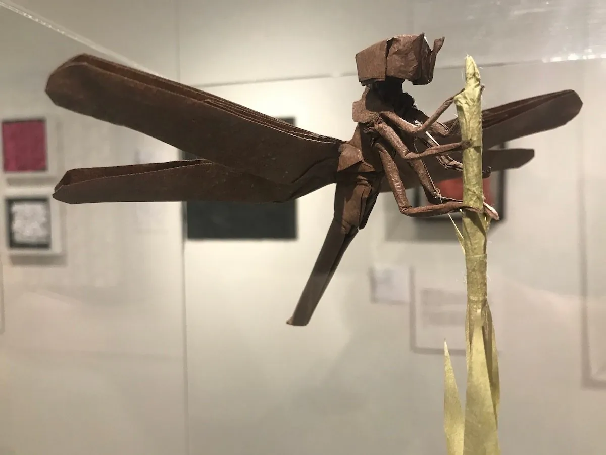 "Dragon TPS, Opus 583 (2012)" origami by Robert Lang, which is featured at the National Museum of Mathematics. (Courtesy of the National Museum of Mathematics)