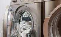 Police Find Teen Girl Who Allegedly Put Dog in Clothes Dryer, Dog Evaluated at Vet