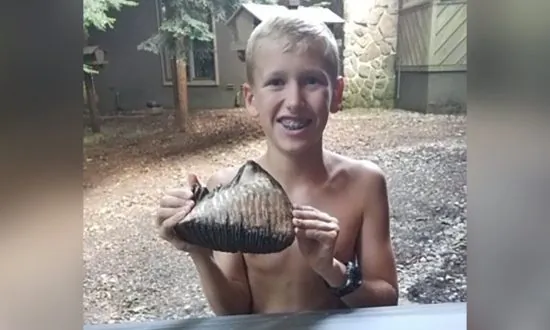 12-Year-Old Discovers Rare Tooth from Woolly Mammoth that Disappeared 4,000 Years Ago