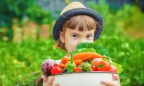 Why Food Is Actually Information: Studies Show Changes in microRNA