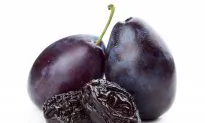 Dried Plums Slow Bone Loss in Aging