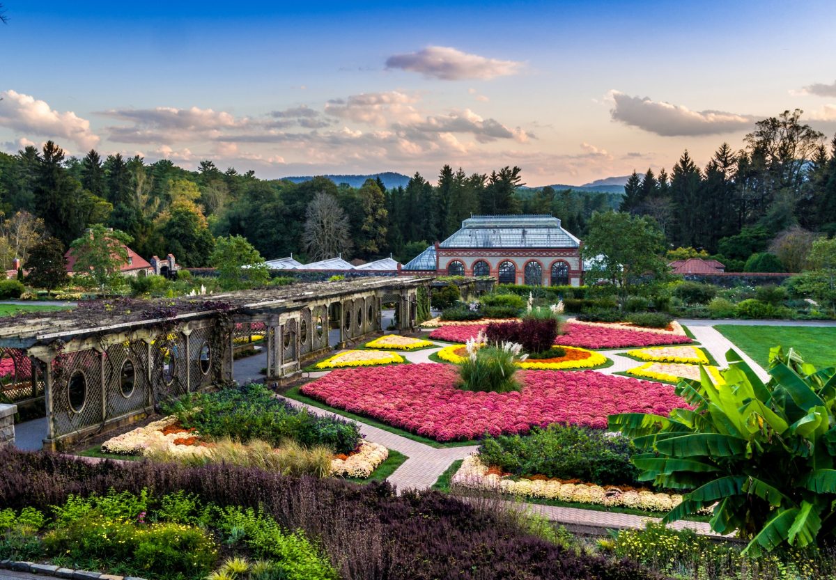 Biltmore Estate: The Jewel of the Mountains