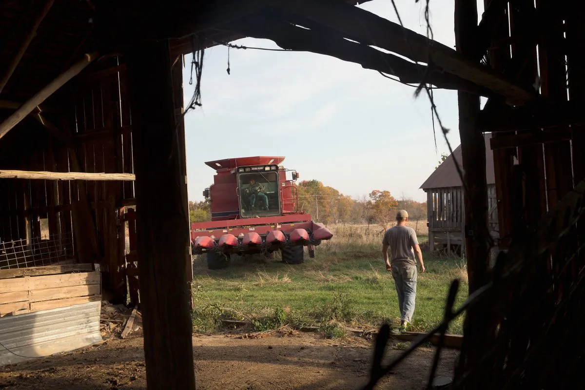 Farmers harvest corn near Burlington, Iowa, on Oct. 22, 2015. (Scott Olson/Getty Images)