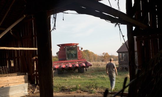 Giving Ethanol Exemptions Requires Repairing Farm Belt Relations