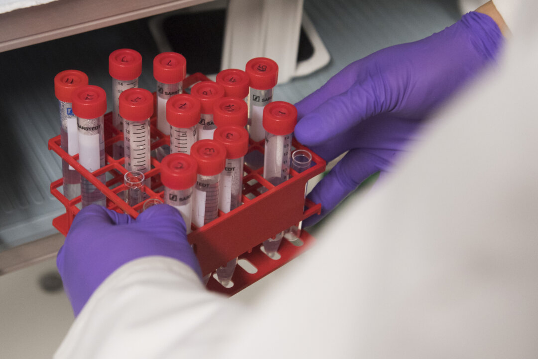 A biologist holds test tubes as he works in a lab at the National Cancer Institute at the National Institutes of Health in Bethesda, Maryland, on Feb. 7, 2018. (Saul Loeb/AFP/Getty Images)