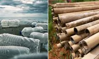 Entrepreneur Invents Plastic Bottle Substitute Made Entirely of Bamboo