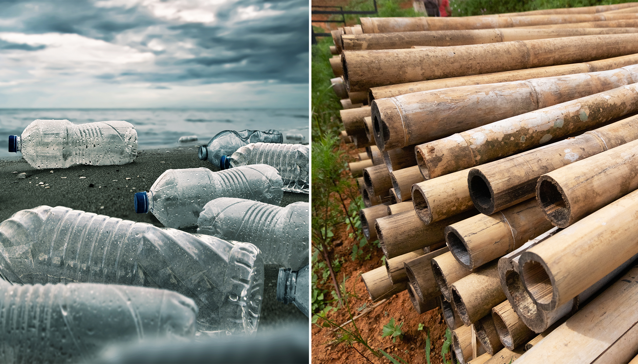People Using Plastic Substatutes Entrepreneur Invents Plastic Bottle Substitute Made Entirely of Bamboo