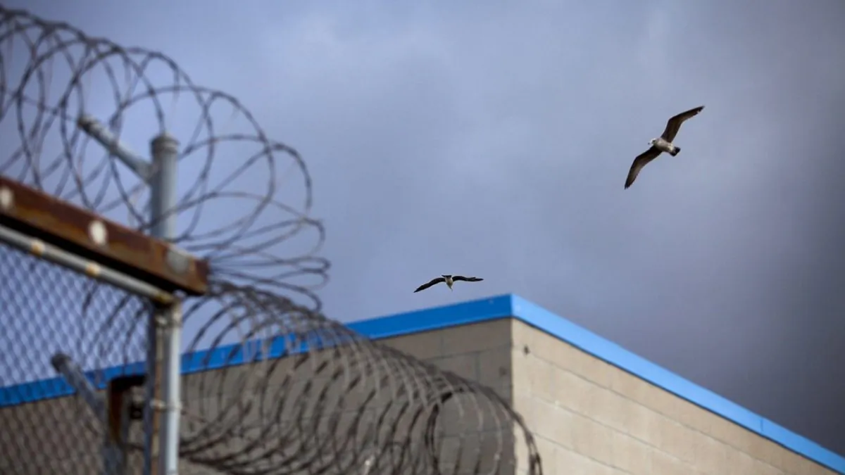 A bird flies over barbed wire on top of fences at the Richard J. Donovan Correctional Facility in San Diego, on Aug. 24, 2019. (Bloomberg via Getty Images)