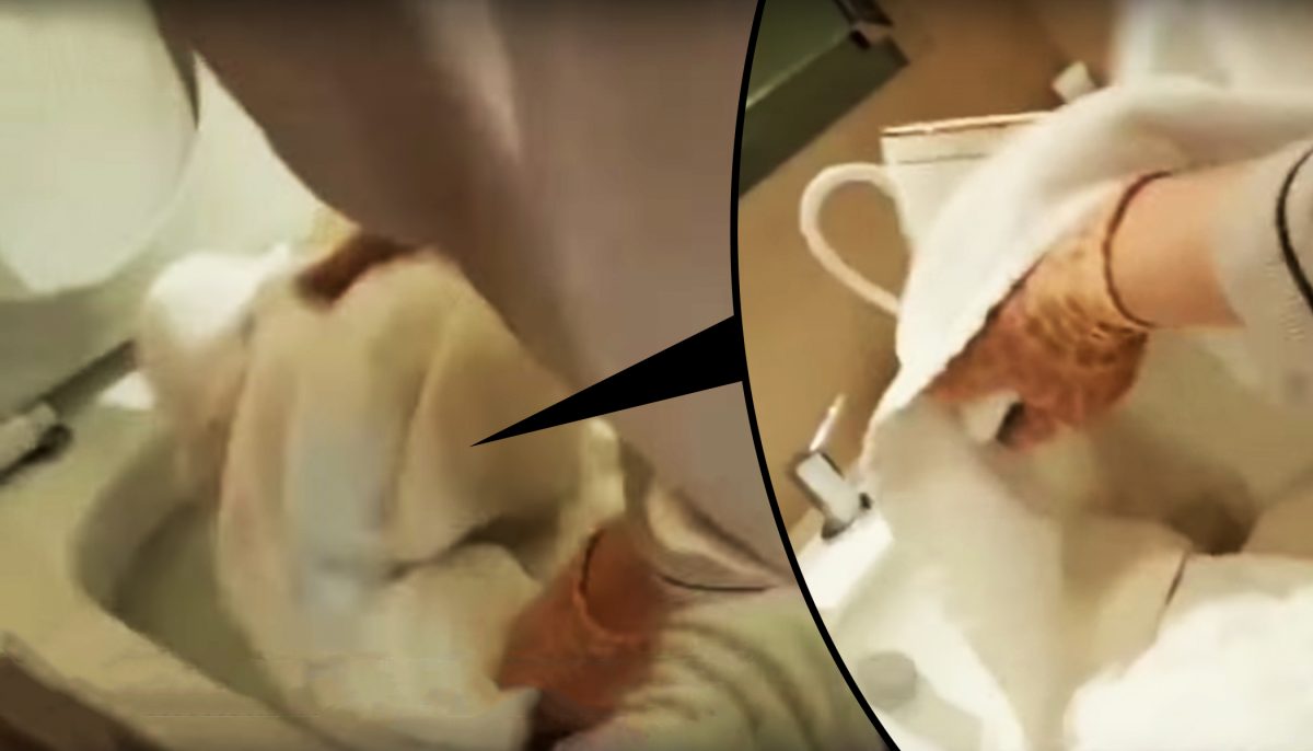 Videos Expose 5 Star Hotels In China Use Same Towels To Wipe - 