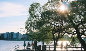 5 Ways to Experience Summer in Stockholm