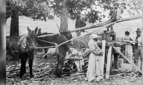 Unnecessary Outrage Stirred by Florida’s African American History Curriculum