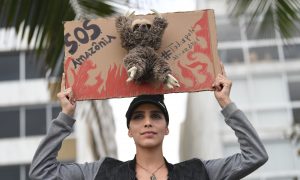 Macron, Celebrities Fact-Checked After Sharing Fake Viral Photos of Amazon Fire