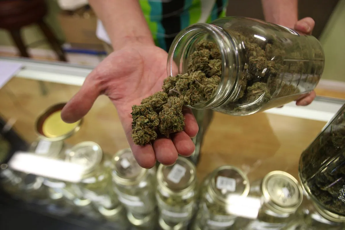 Joints in the 1970s had 1–3 mg of THC—the psychoactive component in marijuana—and a near equal amount of CBD—which is touted for its potential in treating seizures. Most joints in Colorado today contain 18–25 mg THC, with much less CBD. (David McNew/Getty Images)