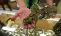 The Link Between Marijuana, Psychosis