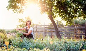 The Power of Beauty: We Can All Contribute