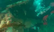 ‘Frozen in Time’: Parks Canada Releases First Images of Arctic Shipwreck HMS Terror