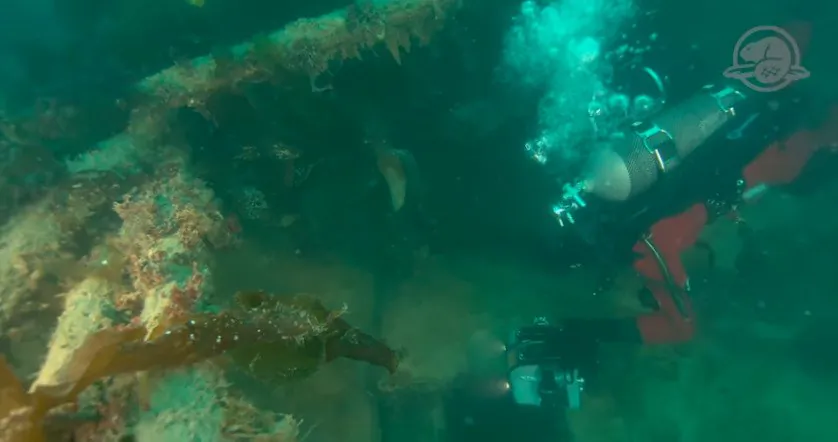A member of Parks Canada's Underwater Archaeology Team explores the wreckage of HMS Terror. (Underwater Archaeology Team/Parks Canada)
