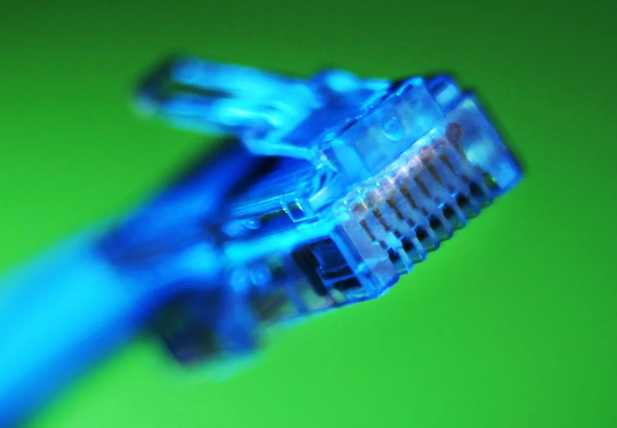 An internet LAN cable is pictured in this photo illustration taken in Sydney, Australia, on June 23, 2011. (Tim Wimborne/Reuters)