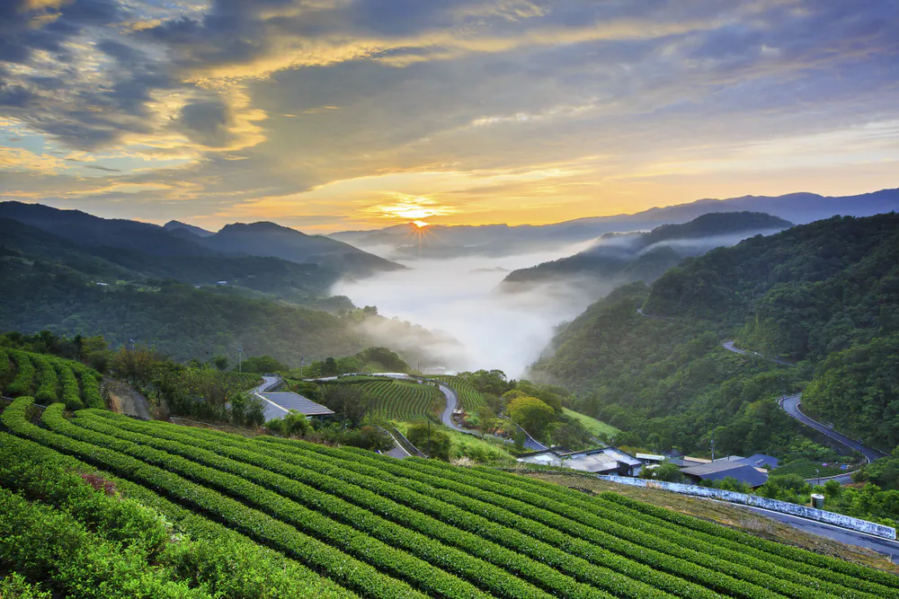 Thousand Island Lake, surrounded by terraced tea plantations, in Pinglin. (Shutterstock)